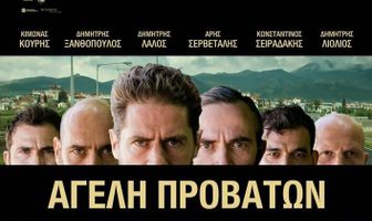 Овечья стая