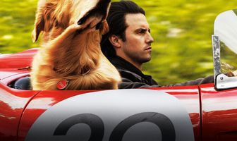 Невероятный мир глазами Энцо