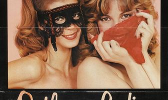 Леди вне закона