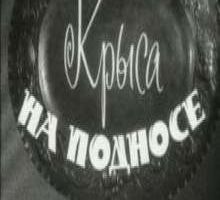 Крыса на подносе
