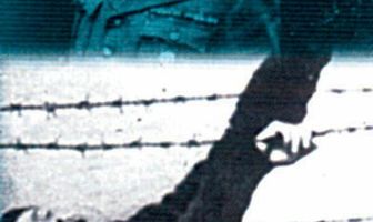 Ночь и туман