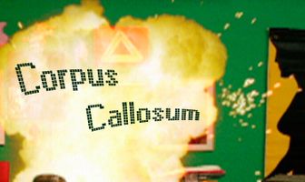 *Мозолистое тело