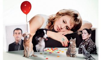 Сетка от комаров