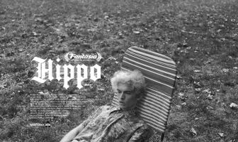 Hippo