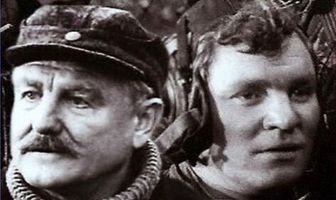 Парашюты на деревьях