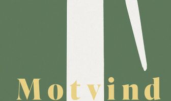 Motvind