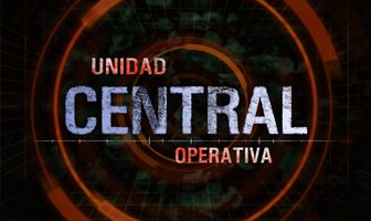 Центральная оперативная группа