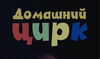 Домашний цирк
