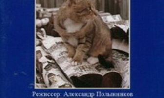 Повод