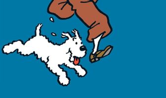 Приключения Тинтина