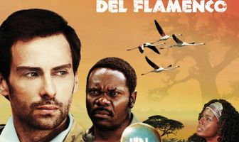 Последний полет фламинго