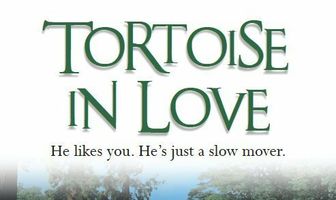 Tortoise in Love