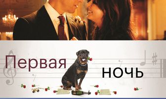 Первая ночь