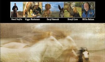 Долина разочарования