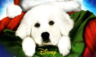 В поисках Санта Лапуса