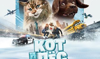 Кот и пёс