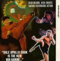 Король кикбоксеров 3: Последний нокдаун