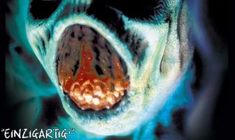 Мертвецы ненавидят живых