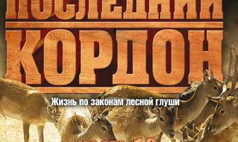 Последний кордон