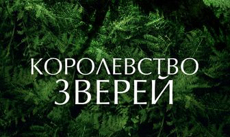 Королевство зверей