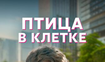 Птица в клетке