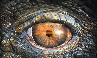 Морские динозавры 3D: Путешествие в доисторический мир