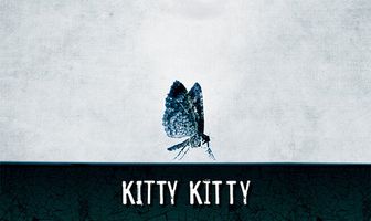 Kitty Kitty