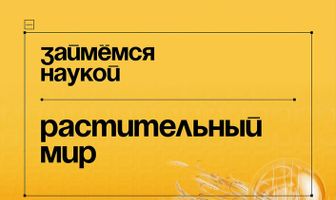 Займёмся наукой