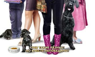 Школа для толстушек