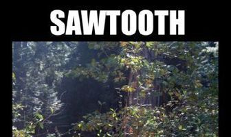 Sawtooth