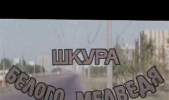 Шкура белого медведя