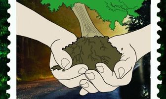 Уходя своими корнями в мир