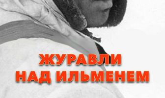 Журавли над Ильменем