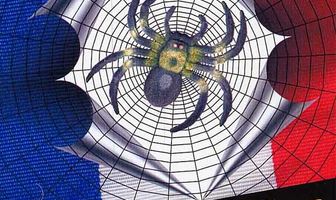 Ночные пауки