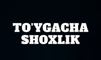 To’ygacha sho’xlik