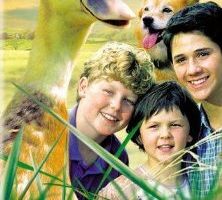 Хильдегарде