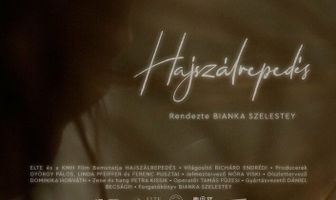 Hajszálrepedés