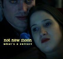 Not New Moon. What's a Volturi?
