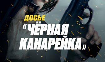 Досье «Чёрная канарейка»