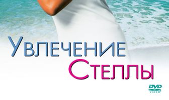 Увлечения Стеллы