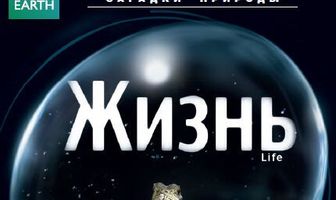 BBC: Жизнь