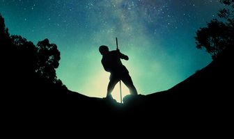 Тайна ранчо «Слепая лягушка»