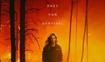 Волчья стая