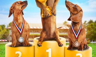 Шелли снова в деле: Часть 1