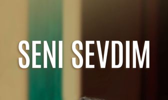 Seni sevdim