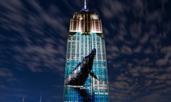 Гонка на вымирание