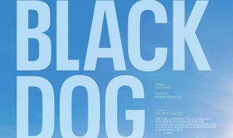 Black Dog