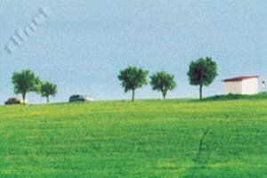 Семейная поездка