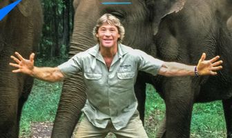 История Стива Ирвина