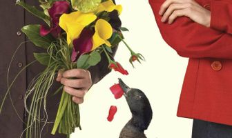 Любовные пташки